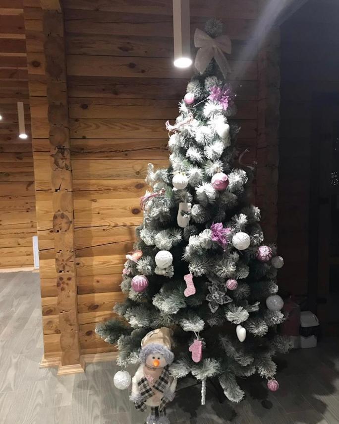 Golden Nest Apartman Jablunicja Kültér fotó