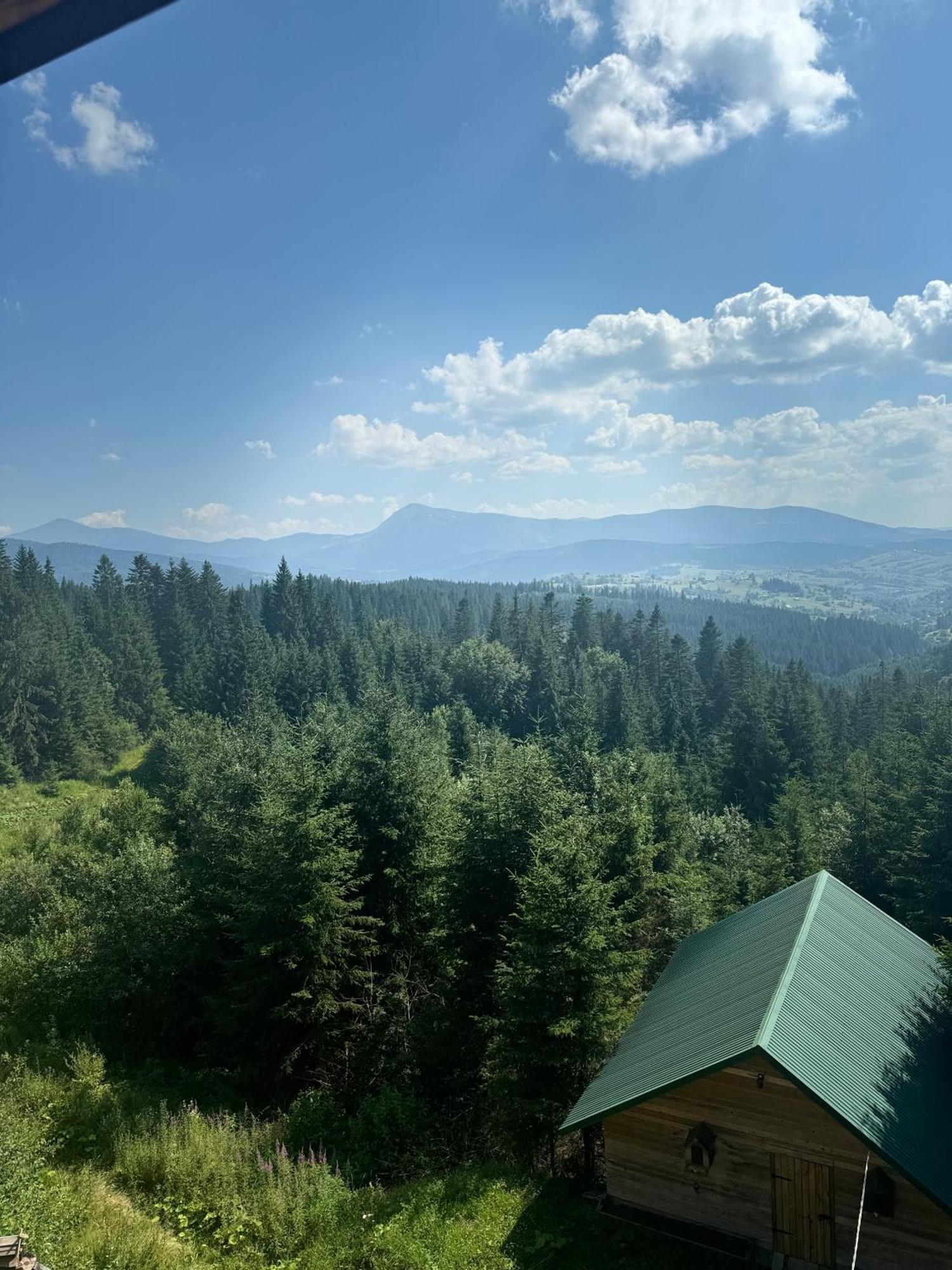 Golden Nest Apartman Jablunicja Kültér fotó