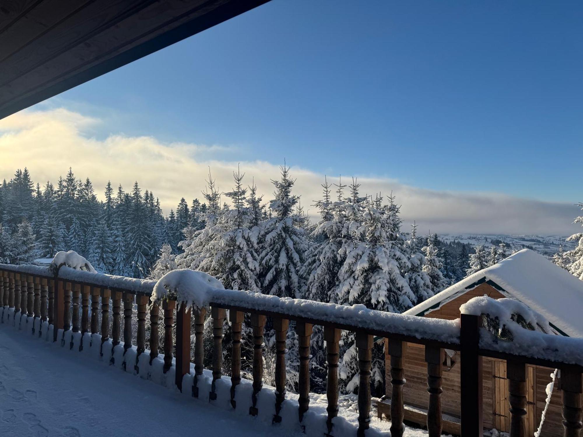 Golden Nest Apartman Jablunicja Kültér fotó