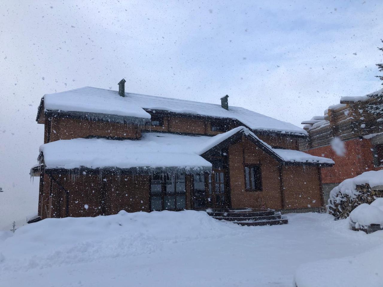 Golden Nest Apartman Jablunicja Kültér fotó